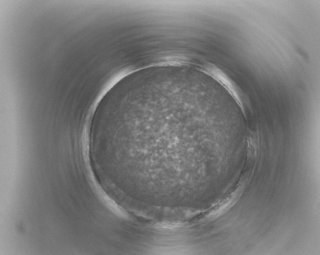 X0000116790859200912241200