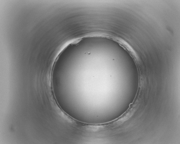 X0000116790860200912241201