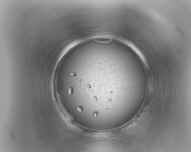 X0000116790861200912241201