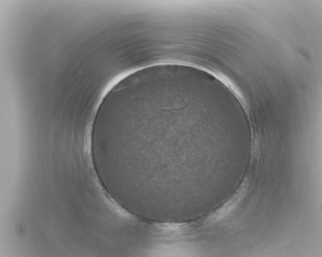 X0000116790862200912241201