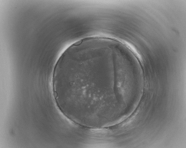 X0000116790863200912241201