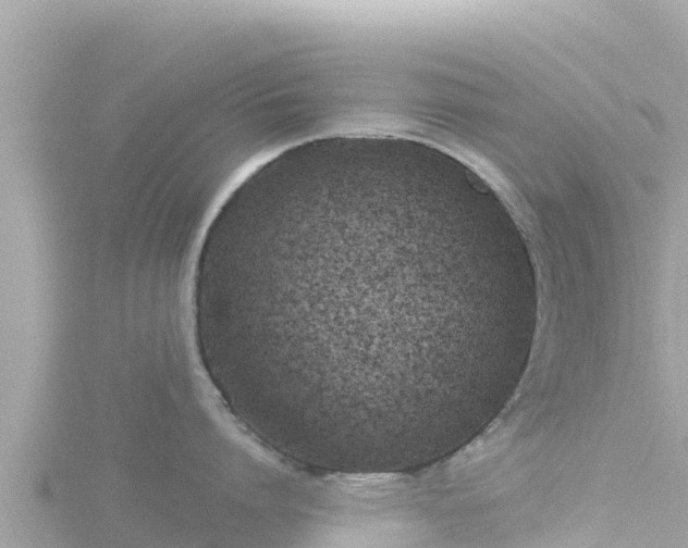 X0000116790864200912241201