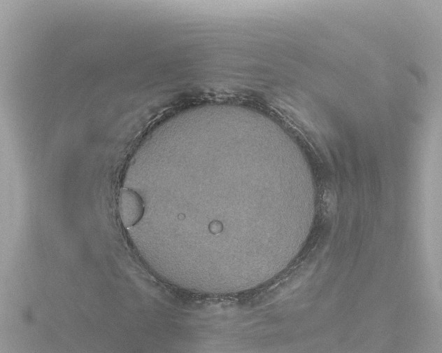 X0000116790865200912241200