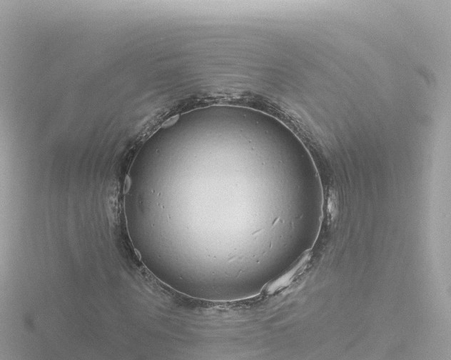 X0000116790867200912241200