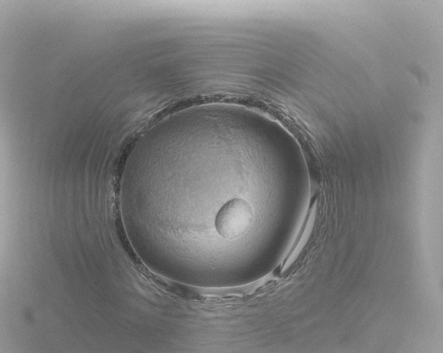 X0000116790868200912241200