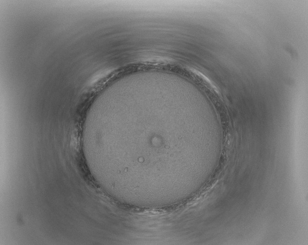 X0000116790869200912241200