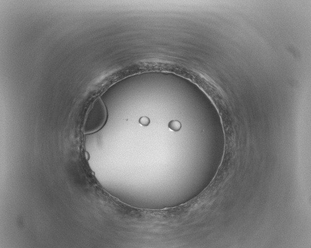 X0000116790870200912241200