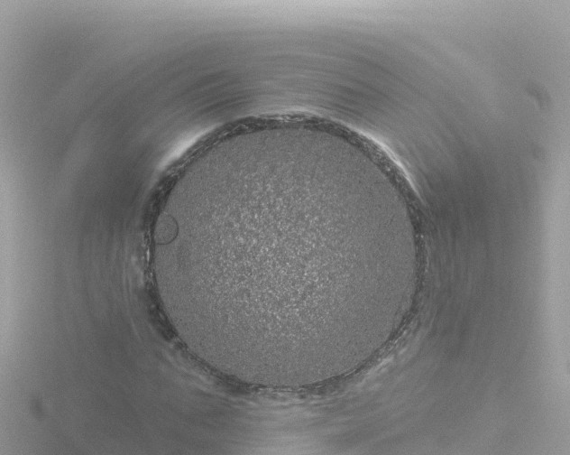 X0000116790871200912241200