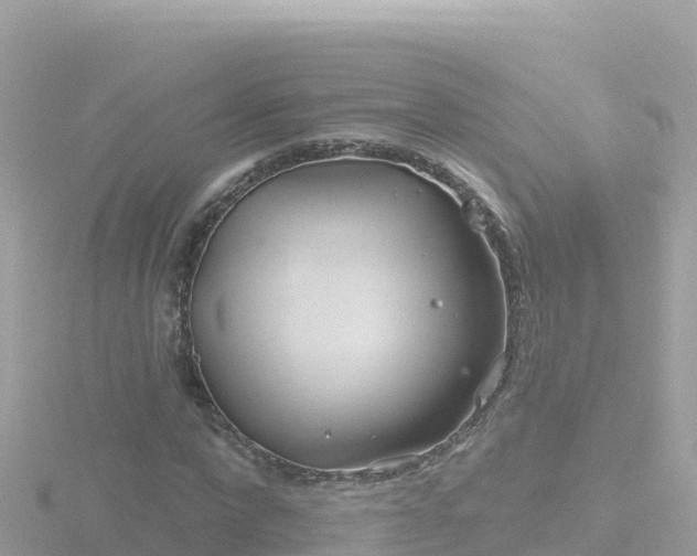 X0000116790872200912241200