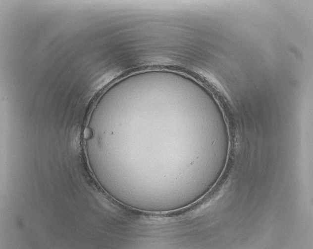 X0000116790873200912241200