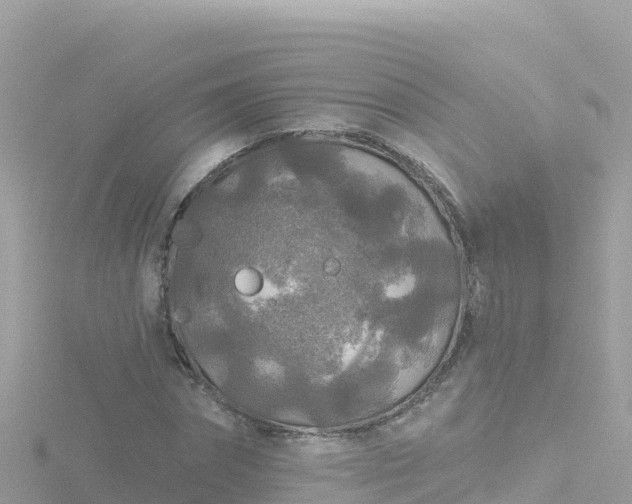 X0000116790874200912241200