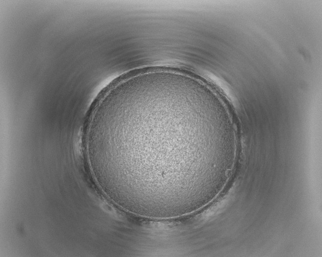 X0000116790875200912241200