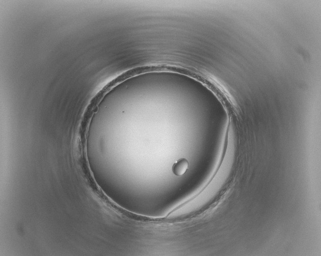 X0000116790876200912241200