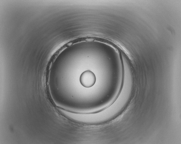 X0000116790877200912241200