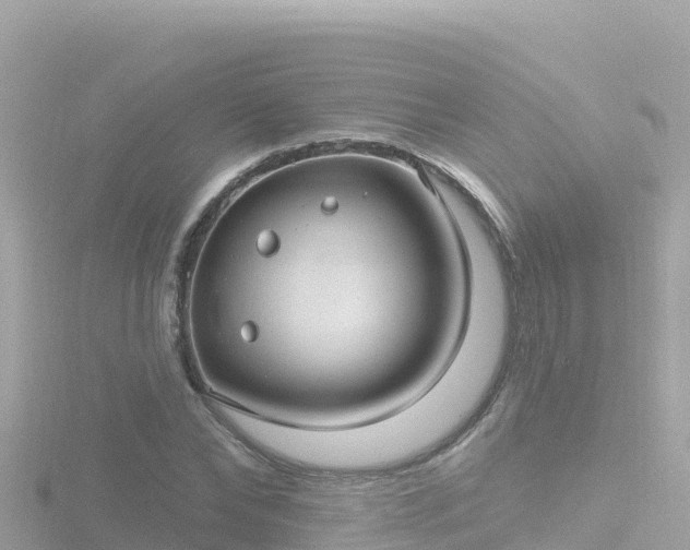 X0000116790878200912241200