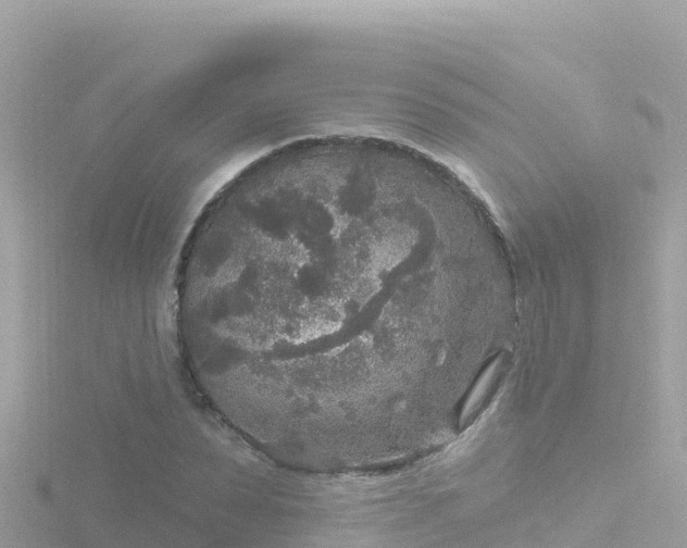 X0000116790879200912241200