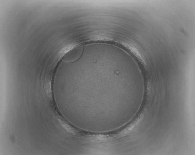 X0000116790881200912241200