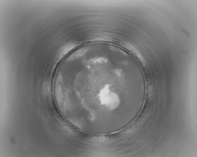 X0000116790882200912241200