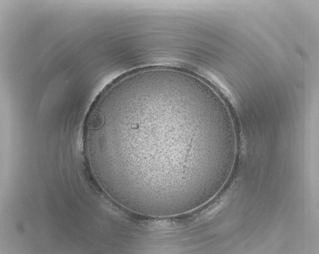 X0000116790883200912241200