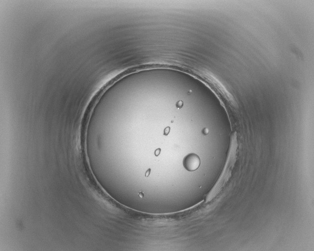 X0000116790884200912241200