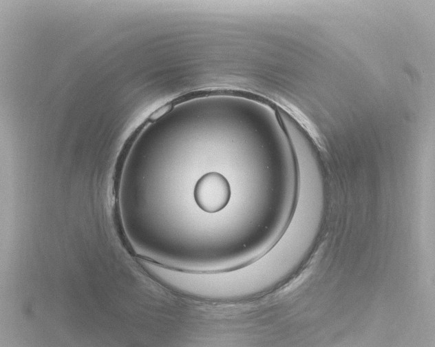 X0000116790885200912241200