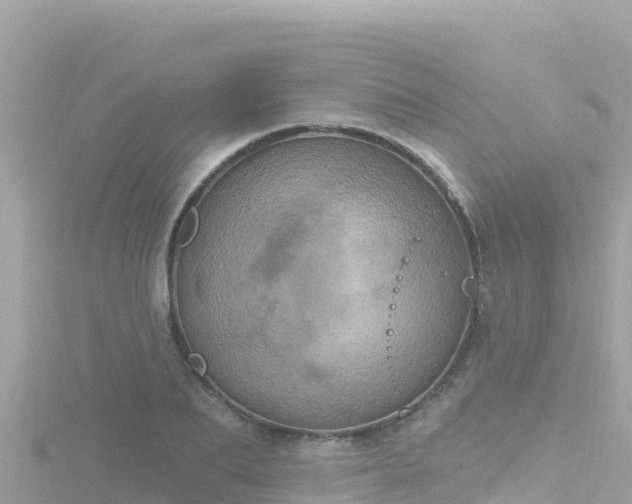 X0000116790887200912241200