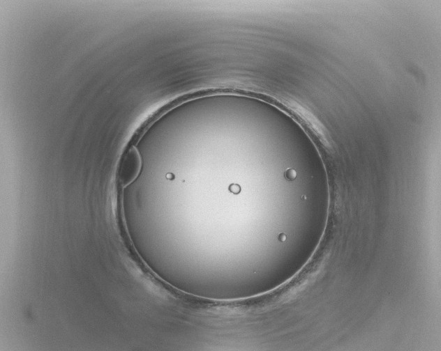 X0000116790888200912241200