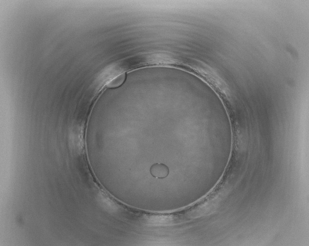 X0000116790889200912241200