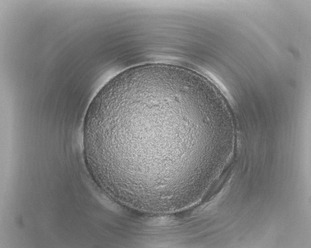 X0000116790891200912241200