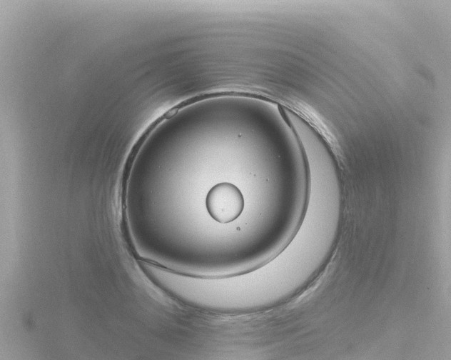 X0000116790892200912241200