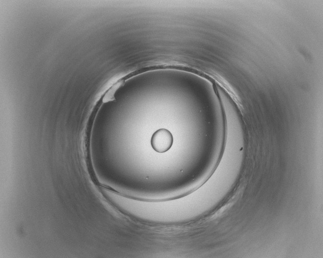 X0000116790893200912241200