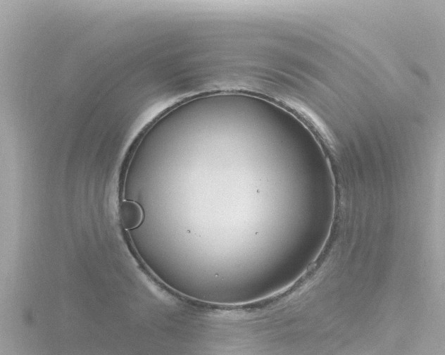 X0000116790894200912241200