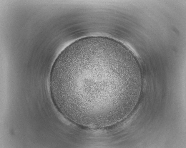 X0000116790895200912241200