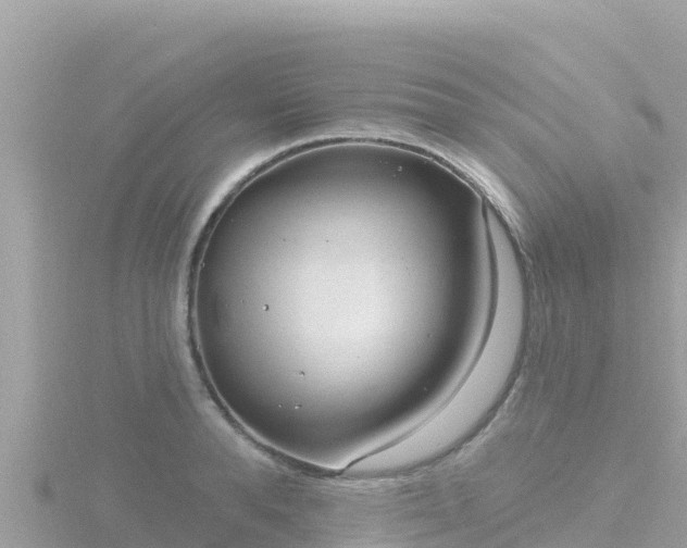 X0000116790896200912241200