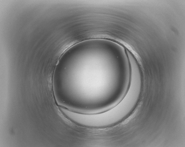 X0000116790897200912241200