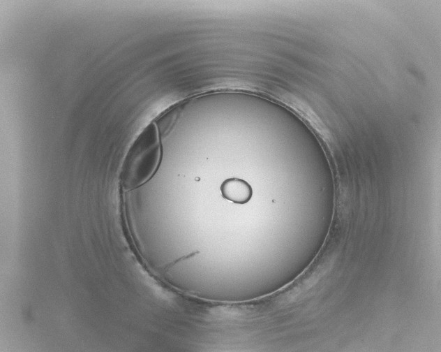 X0000116790898200912241200