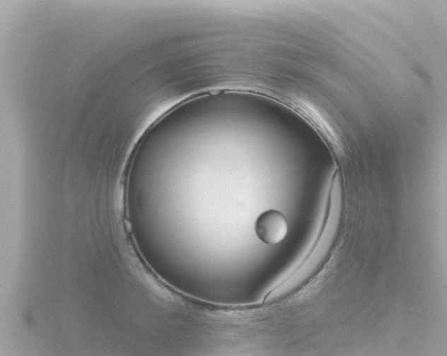 X0000116790900200912241200