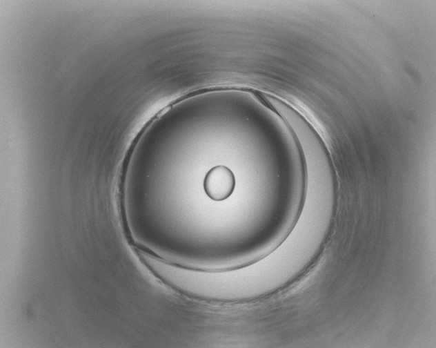 X0000116790901200912241159