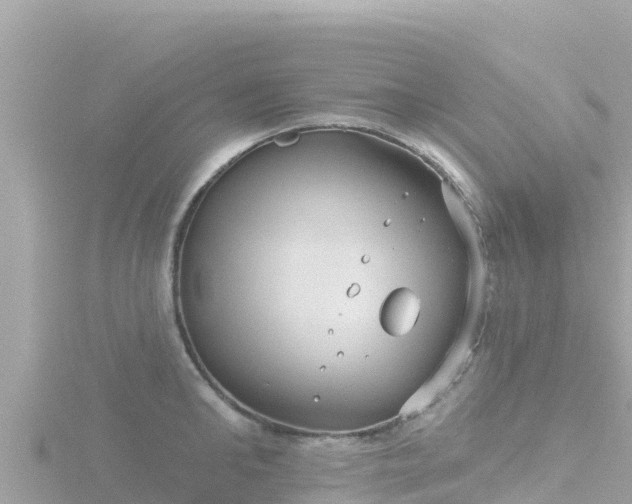 X0000116790902200912241159