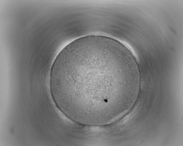 X0000116790903200912241159