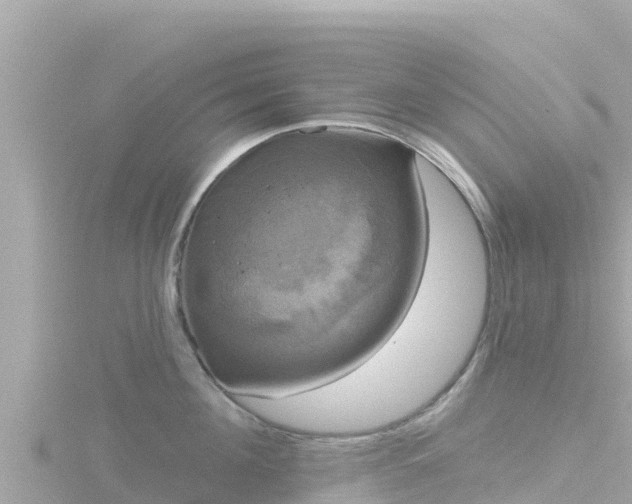 X0000116790908200912241159