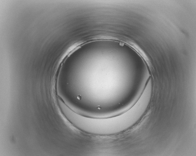 X0000116790909200912241159