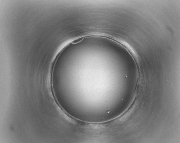 X0000116790910200912241159