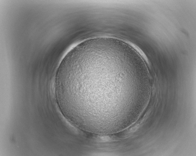 X0000116790911200912241159