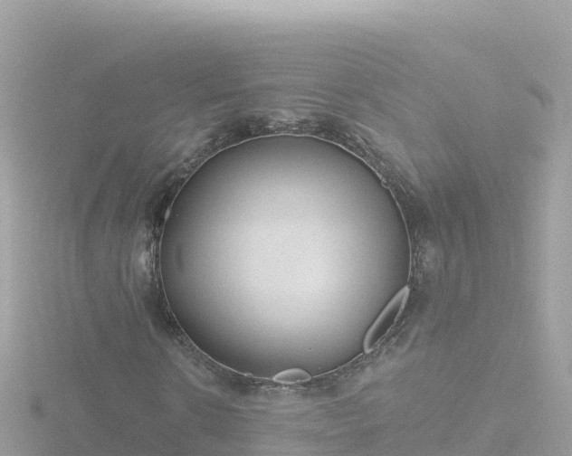 X0000116790914200912241159