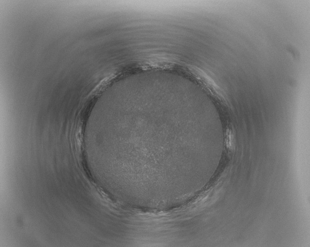 X0000116790915200912241159