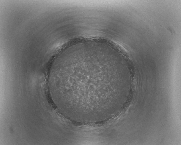 X0000116790917200912241159