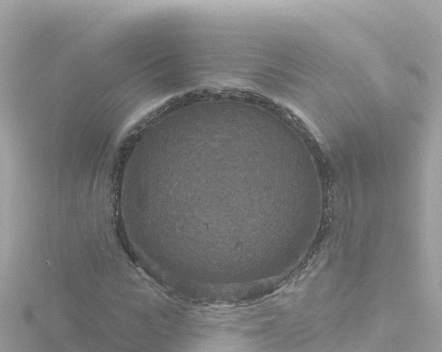 X0000116790919200912241159