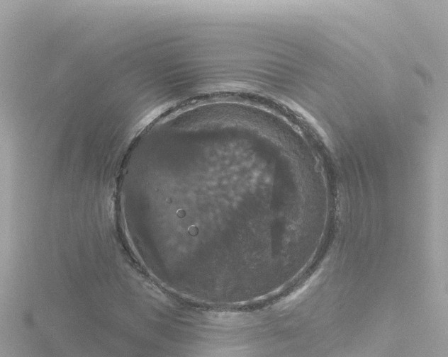 X0000116790921200912241159