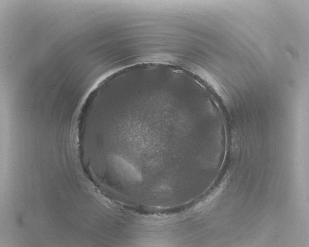 X0000116790923200912241159